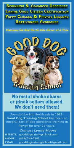 Information Card - Good Dog Training School