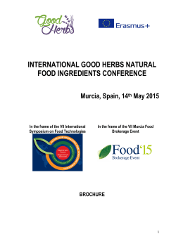 Murcia Conference Brochure (May 2015)