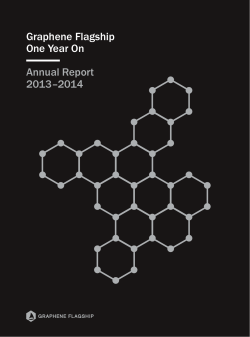 Graphene Flagship One Year On Annual Report 2013â2014