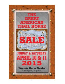 2015 Catalog - Great American Trail Horse Sale