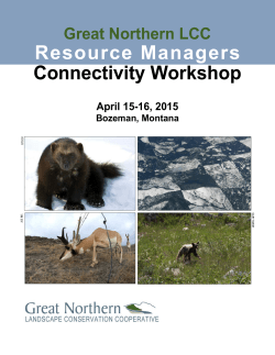 Resource Managers Connectivity Workshop