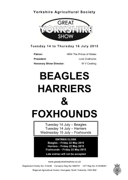 BEAGLES HARRIERS & FOXHOUNDS