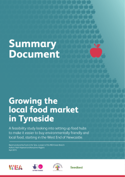 Summary Document