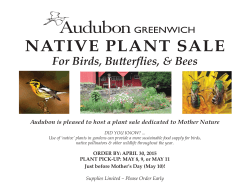 2015 Plant Sale - form and full brochure.indd