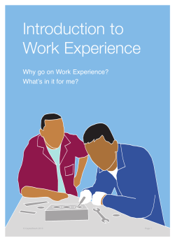 Introduction to Work Experience - Royal Greenwich University