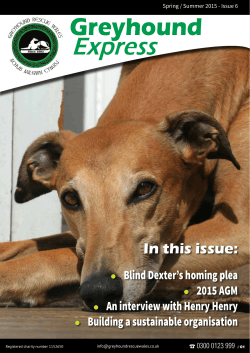 Express - Greyhound Rescue Wales
