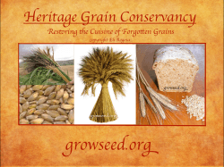 About HGC - Heritage Grain Conservancy