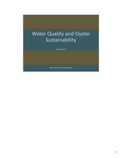 Water Quality and Sustainability: Usina Oyster Internship Update