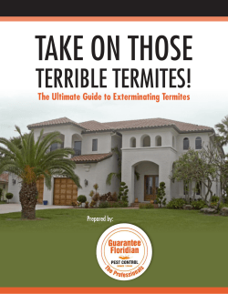 The Ultimate Guide to Exterminating Termites