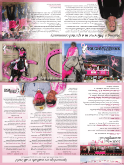 2015 Tough Enough to Wear Pink 10th Anniversary Brochure!
