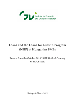 Loans and the Loans for Growth Program (NHP) at Hungarian SMEs