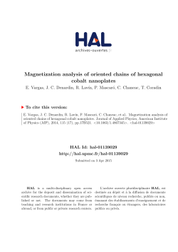 Magnetization analysis of oriented chains of hexagonal