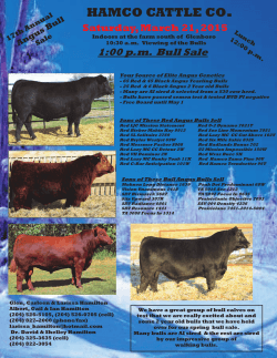 2015 angus ad - Hamco Cattle Co.