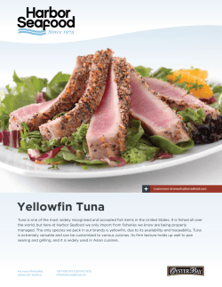 Yellowfin Tuna - Harbor Seafood