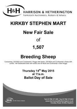 KIRKBY STEPHEN MART New Fair Sale of 1,507 Breeding Sheep