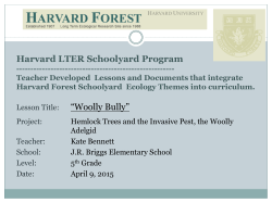 Woolly Bully - Harvard Forest