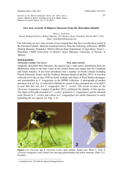 Two new records of Diptera (Insecta) from the Hawaiian Islands1 27