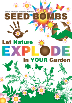 Seed Bombs Manual - Headless Cross Community Orchard