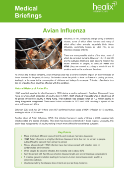 Medical Briefings Avian Influenza