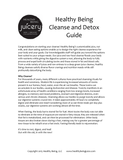 Healthy Being Cleanse and Detox Guide