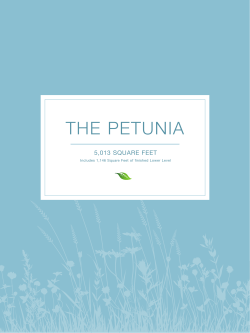 THE PETUNIA - Meadowgreen