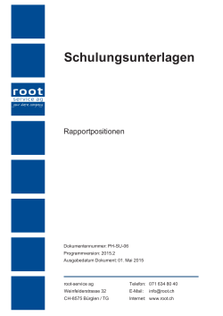 Schulungsunterlagen Rapportpositionen 2015.2