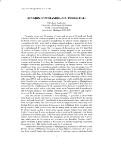 revision of pterandra (malpighiaceae)