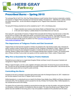 Prescribed Burns - Spring 2015 - The Rt. Hon. Herb Gray Parkway