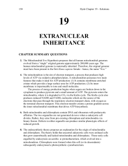 19 extranuclear inheritance