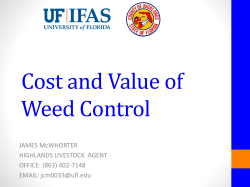 Cost of Pasture Weed Control