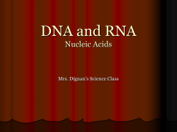 DNA and RNA - Highline Public Schools