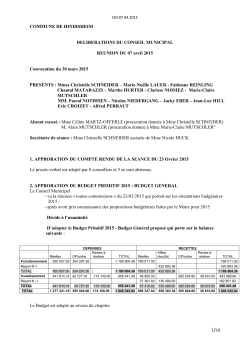 DÃ©libÃ©rations du Conseil Municipal 07-04-2015