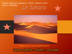 Savez-vous ce que signifie Sahara? ExposÃ© rÃ©alisÃ© par le groupe 6