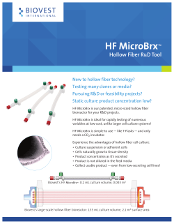 Ltr HF MicroBrxâ¢ Flyer
