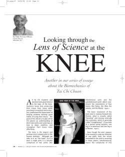 "Looking through the Lens of Science at the KNEE" (Another