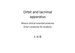 Orbit and lacrimal apparatus