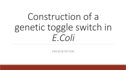 Construction of a genetic toggle switch in E.Coli