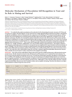 Molecular Mechanism of Flocculation Self