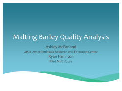 Barley Quality Analysis