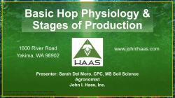 Basic Hop Physiology & Stages of Production