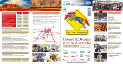 flyer - Horses & Dreams