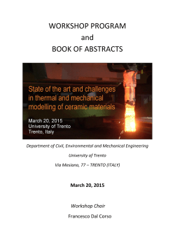 the "Workshop program and book of abstracts"