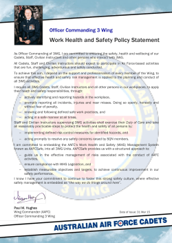 2015-04-31 3WG OC WHS Policy Statement