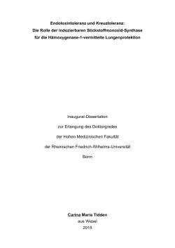 pdf-Dokument - UniversitÃ¤t Bonn