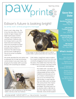 Edison`s future is looking bright! - Humane Society of Truckee