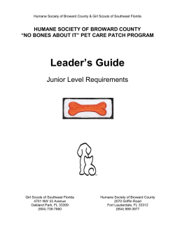 Junior Level - Humane Society of Broward County