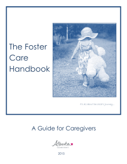 The Foster Care Handbook