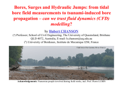 Bores, Surges and Hydraulic Jumps: from tidal bore field