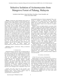 Selective Isolation of Actinomycetes from Mangrove Forest of