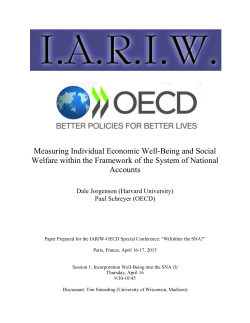 Measuring Individual Economic Well-Being and Social